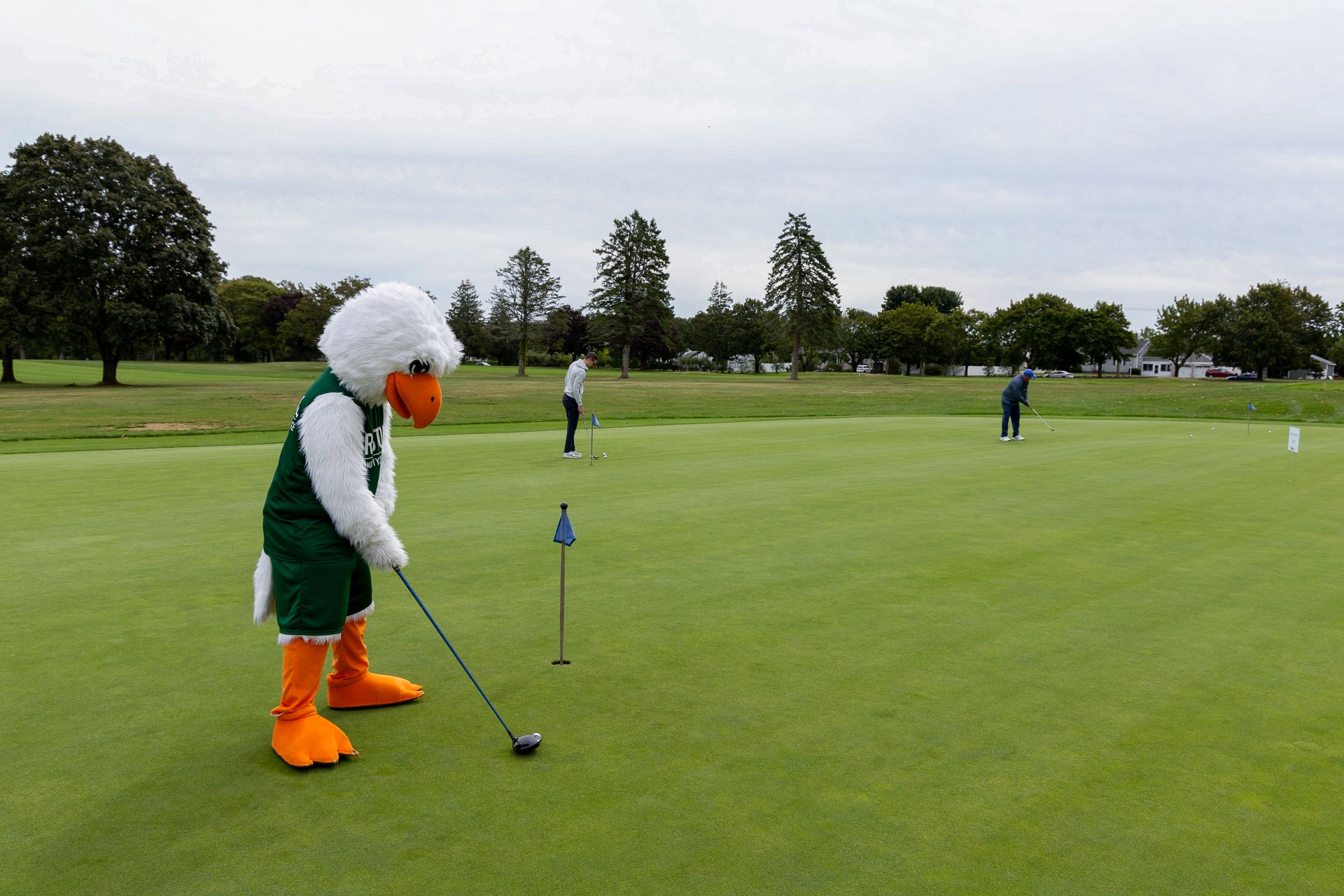 Victory the Bayhawk taking a golf swing at the 29th Annual Birdies for Bayhawks Benefit Golf Tournament