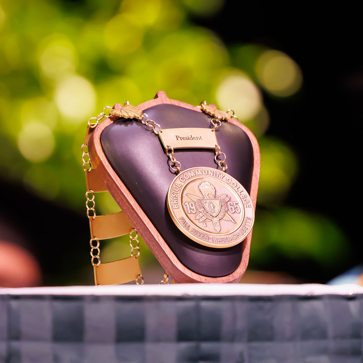 The Presidential Medallion