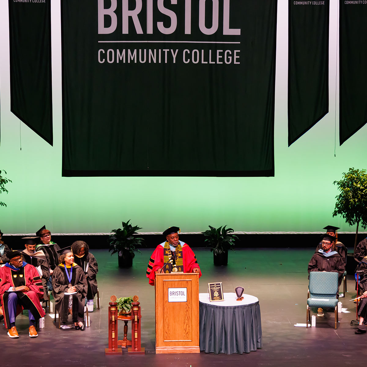 President Harris at the inauguration ceremony