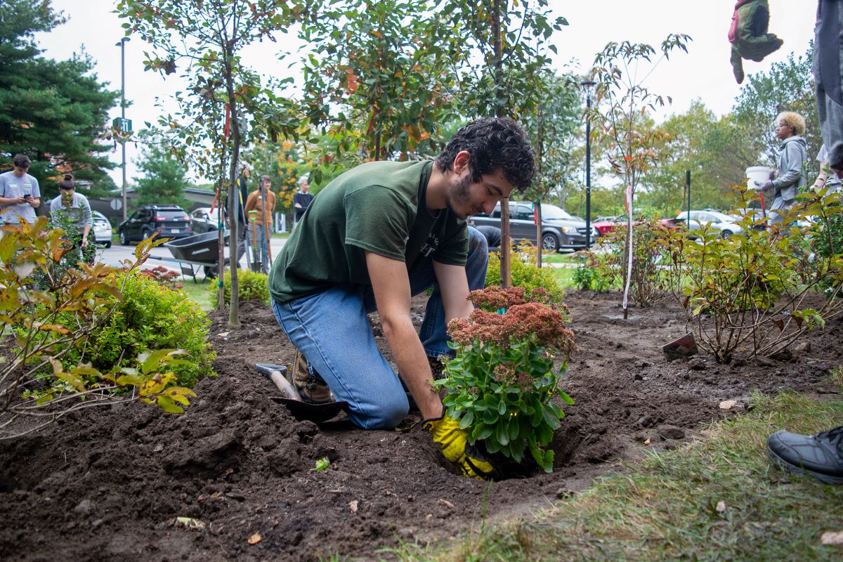 Student adding a plant to the Miyawaki Forest