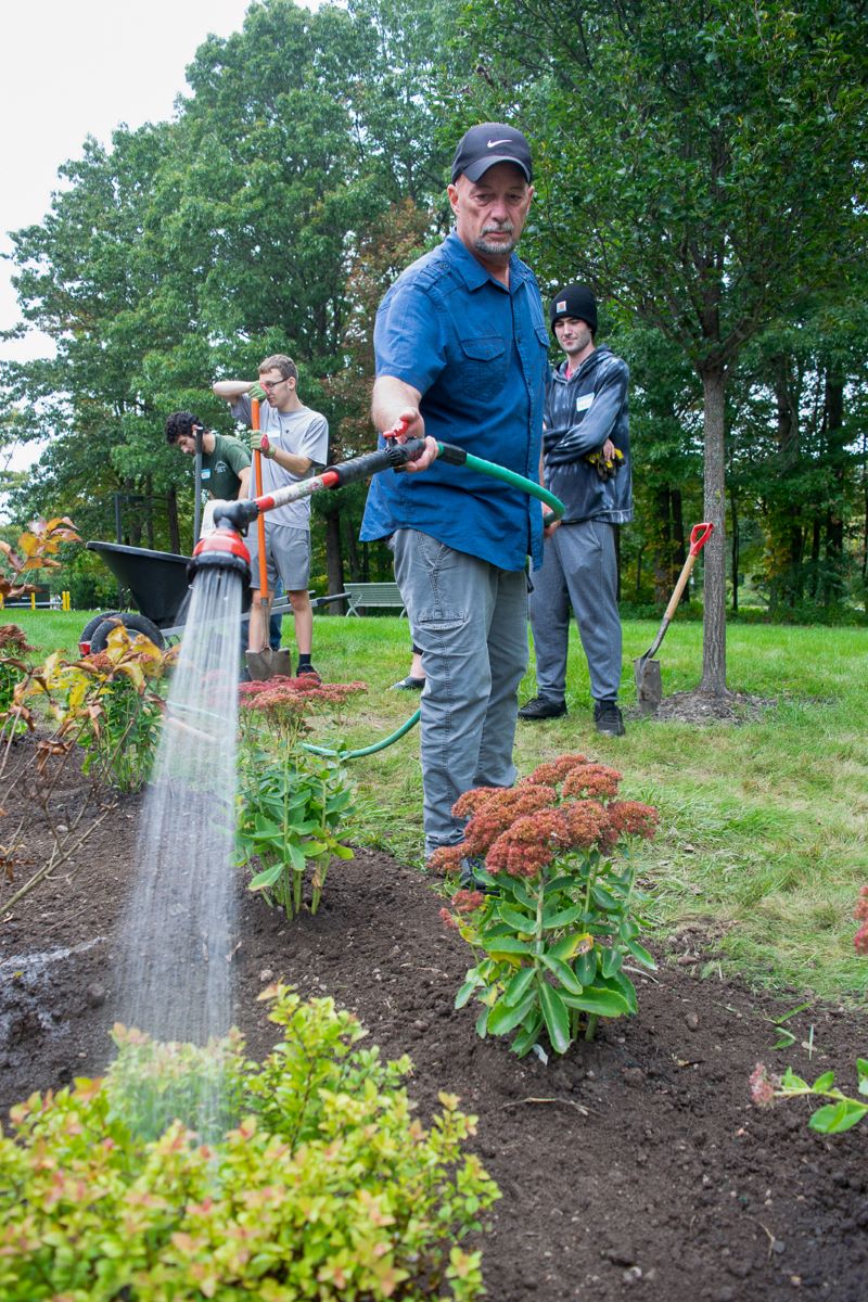 Man watering a plant