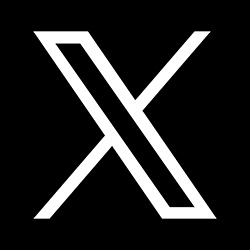 X Icon