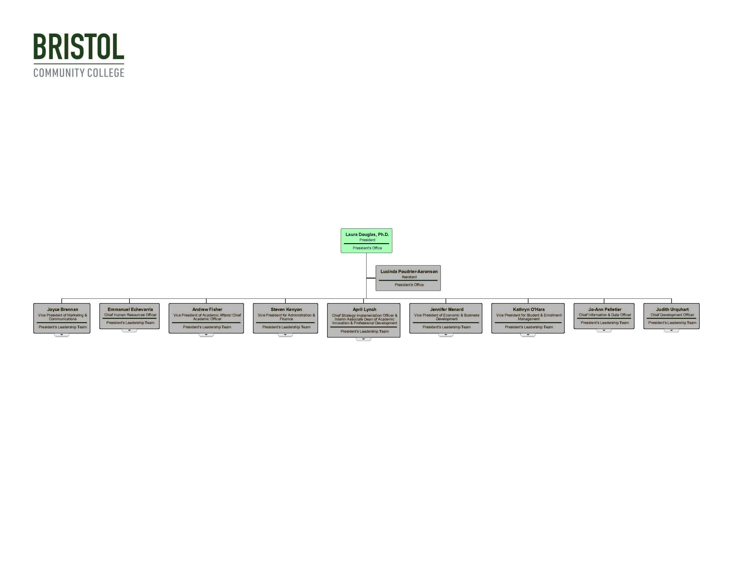 Organizational Chart