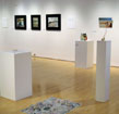 BCC Art Faculty Exhibition 2010