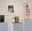 Annual Juried Student Art & Design Exhibition 2009