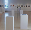 Annual Juried Student Art & Design Exhibition 2023