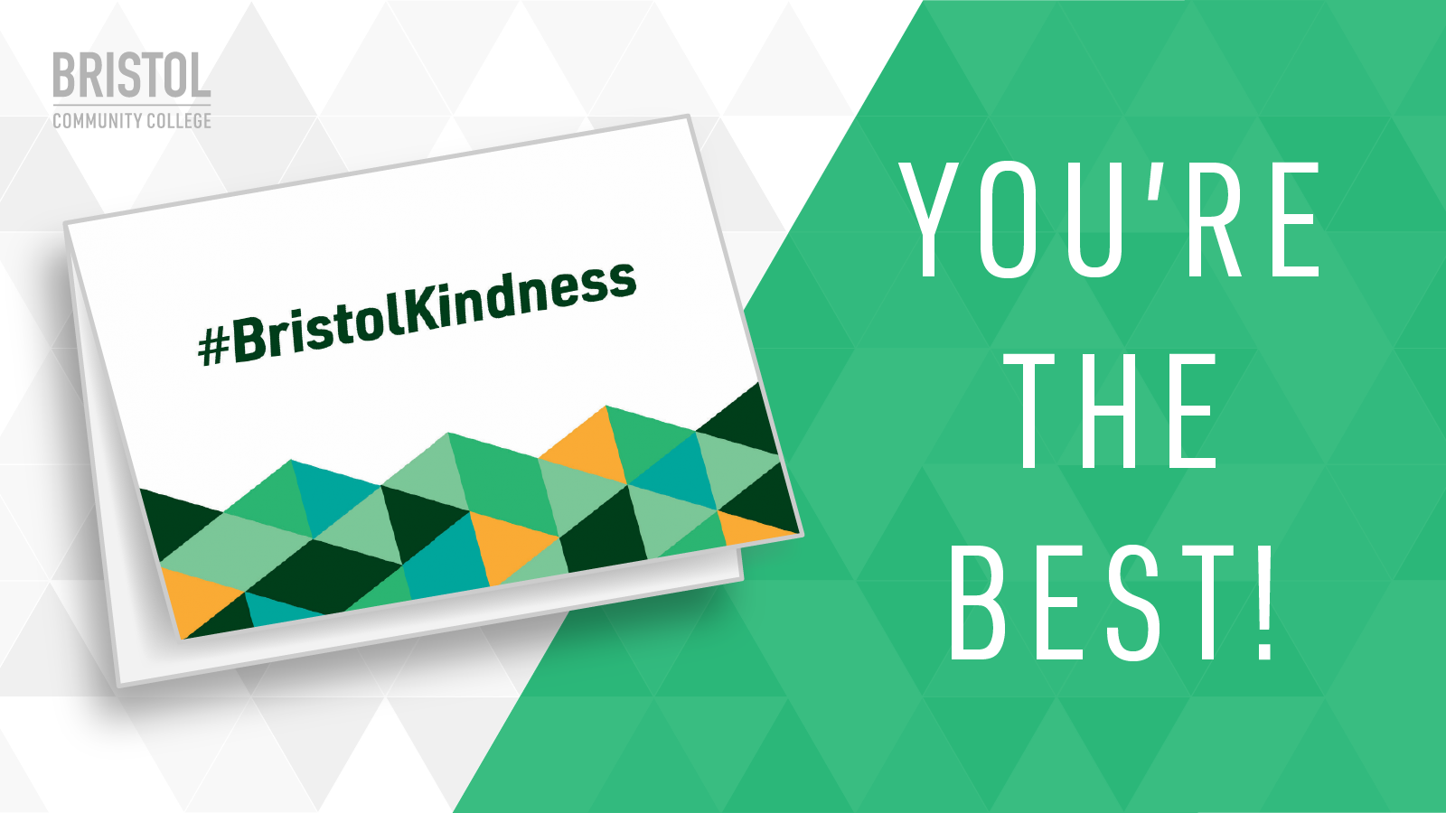 Bristol Kindness - Best