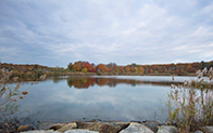 calm body of water surrounded by trees on an overcast day