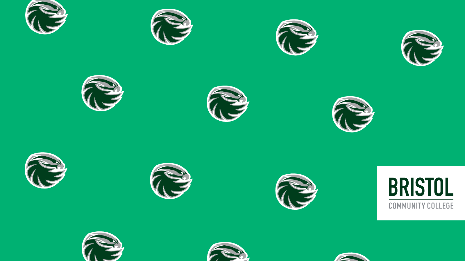 Bristol Zoom background-Bayhawk Pattern