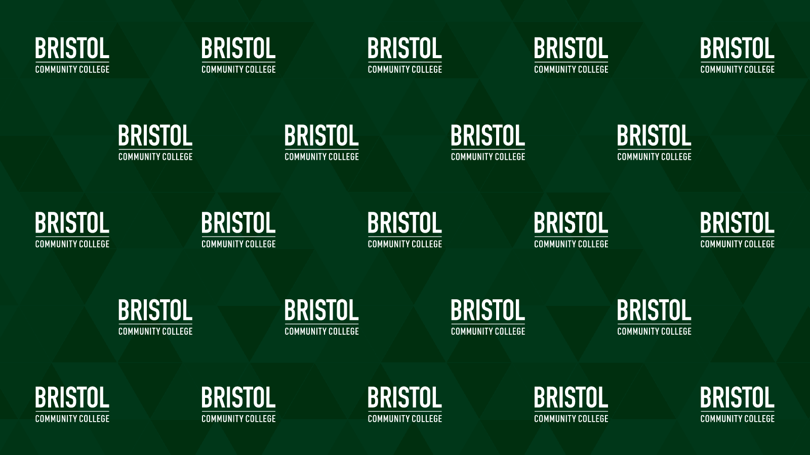 Bristol Zoom background-Logo Pattern
